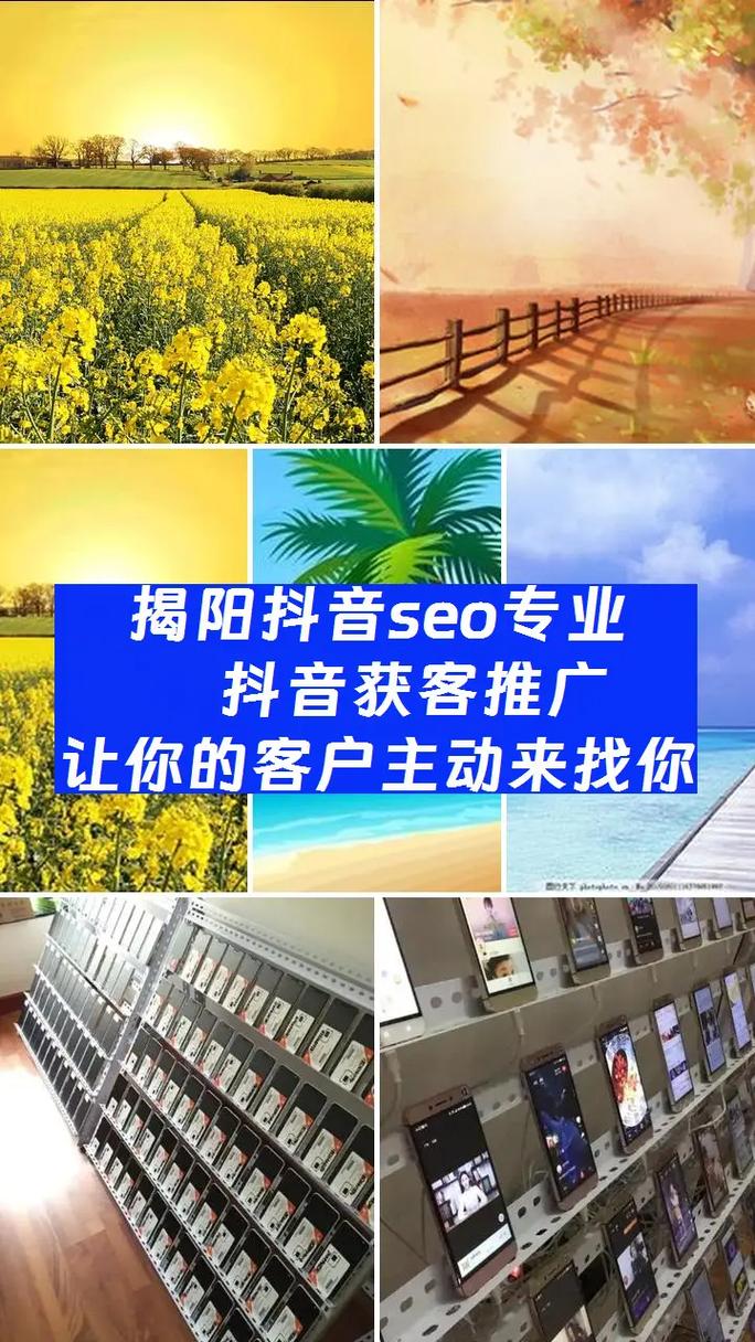 揭阳SEO外包服务，哪家专业网站优化效果最好呢？