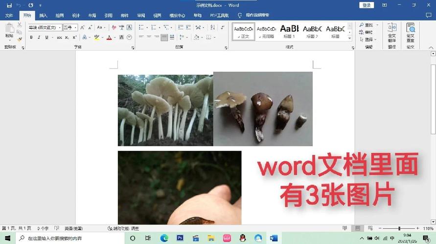 如何将WPF应用程序中的控件内容导出为图片格式？