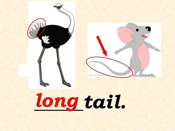 What is the PHP class for SAE using KVDB in a long-tail query?