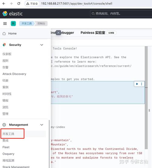 ElasticSearch中IK分词器如何实现高效中文文本解析？