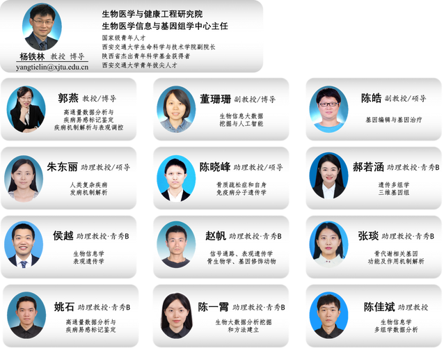 南宁SEO优化专家团有哪些成员？
