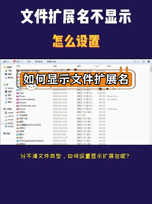 如何通过path/filepath.Ext函数提取文件路径的扩展名？