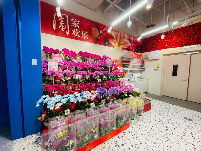 盒马首店开业，生鲜电商是否已成功抢滩菜场？