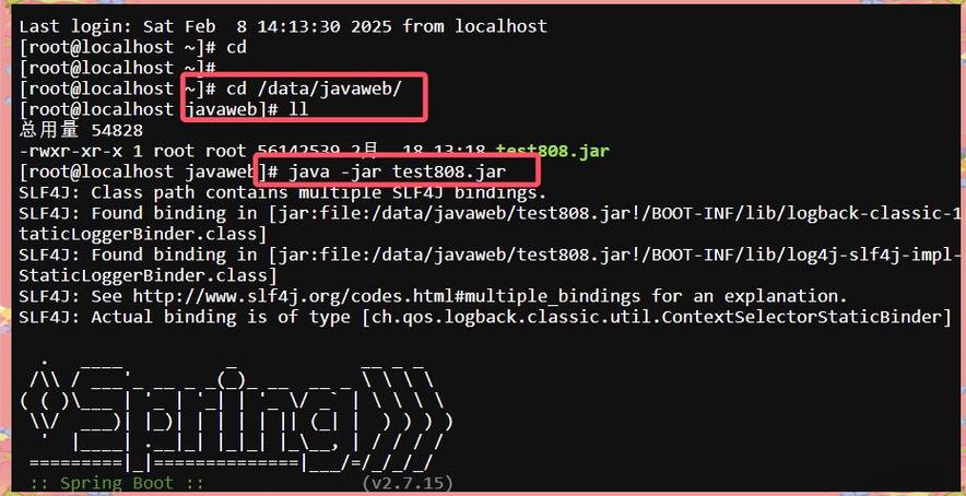 宝塔服务器上为何找不到Java相关的项目？