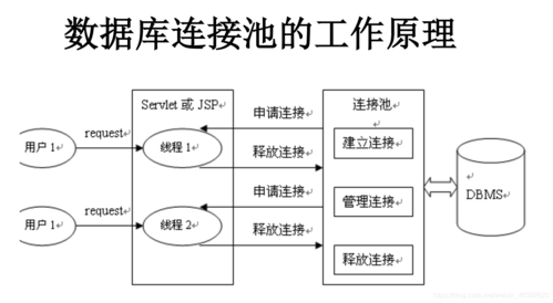 如何实现数据库连接操作中的用户管理功能？
