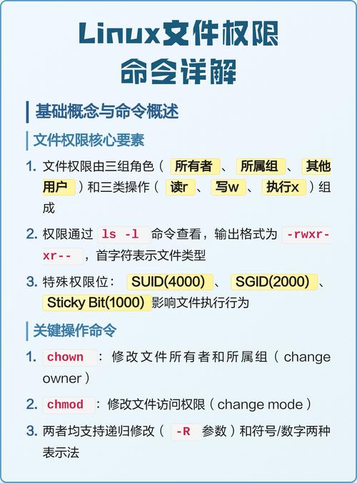 Linux中特殊权限位如何具体解释？