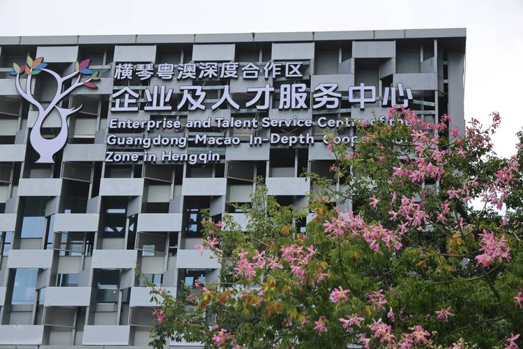 横琴SEO优化专家，总部企业汇聚地，哪家机构最专业呢？