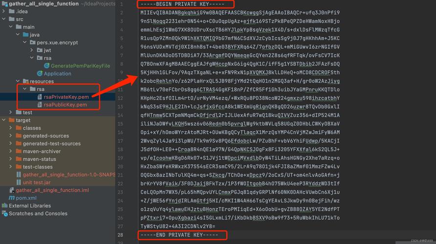 如何从Java PEM文件中提取内容？