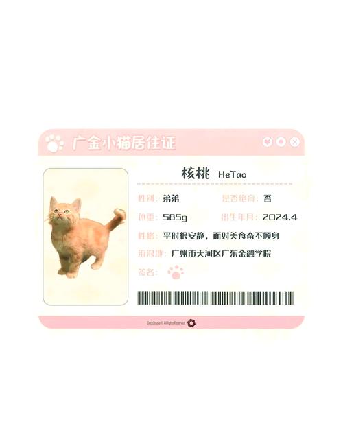 升级后喵汪的专属名片是啥样子的呢？