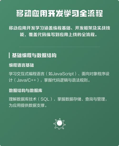 如何利用Python和Xamarin技术高效开发跨平台移动应用？