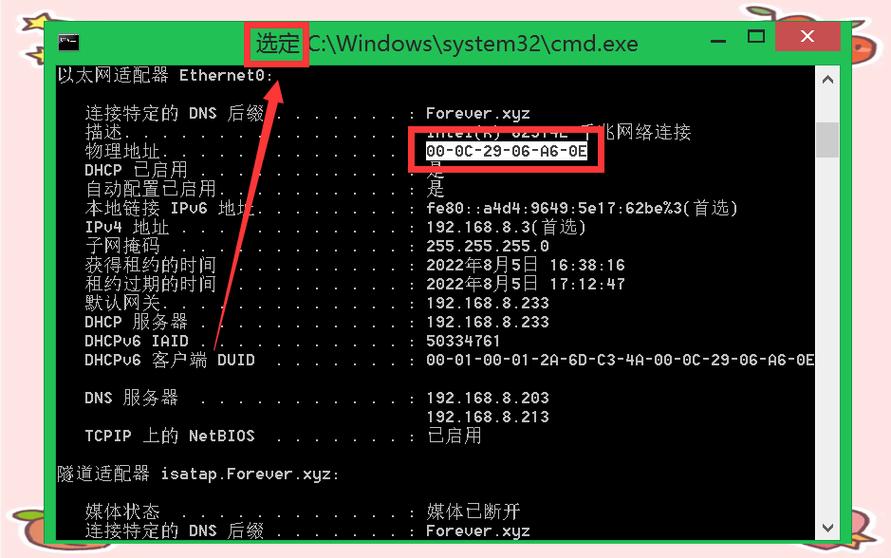 如何通过DHCP自动获取主机IP地址等相关配置信息？