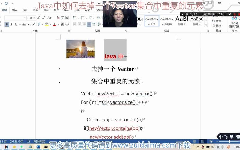 如何从Vector集合中有效移除重复元素？