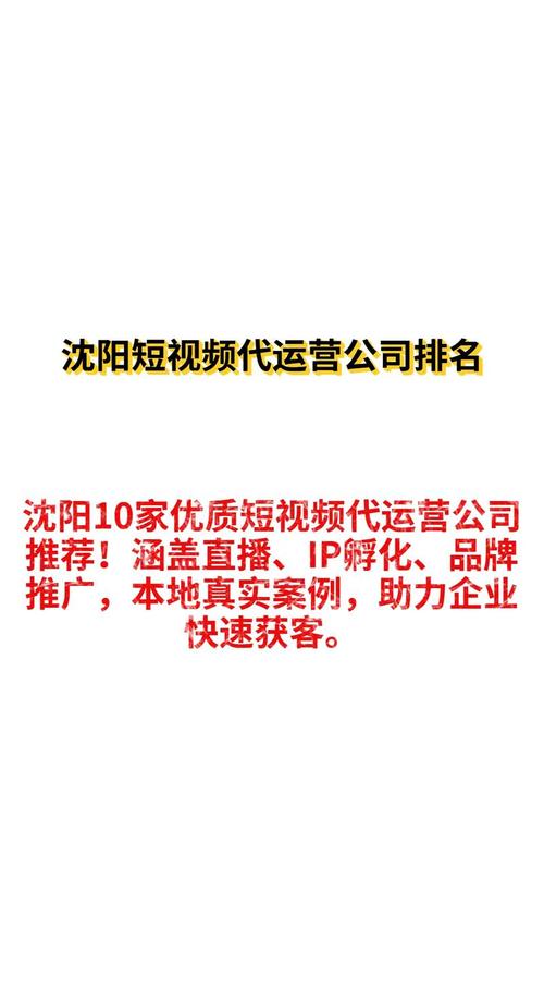 沈阳SEO哪家是专业优化专家？