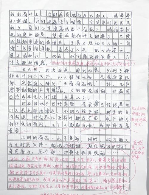 如何轻松成为内容创作革新者，高效产出高品质的文？