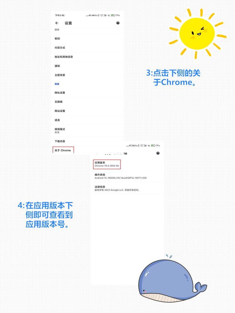 在GitHub上如何查看项目具体版本信息？