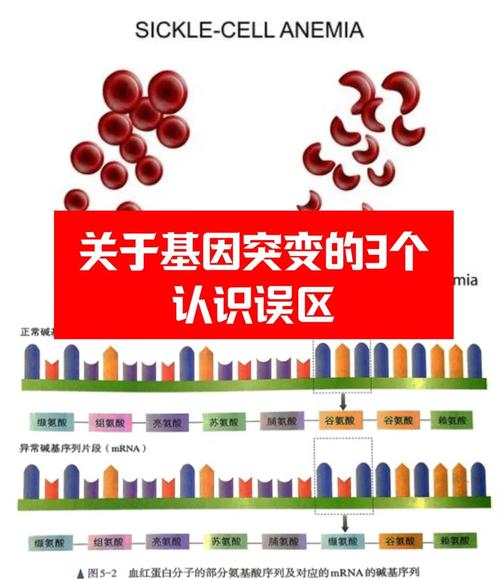 DNA序列中存在哪些变异或突变问题？