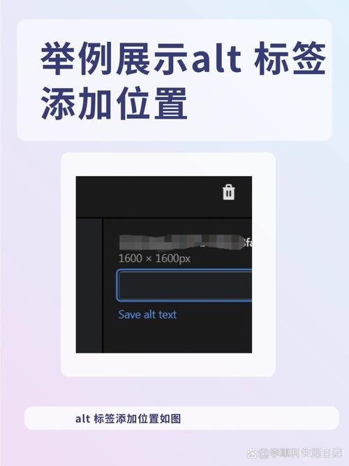 为什么Alt标签错误会导致谷歌SEO风险高，爆款产品要谨慎选择？