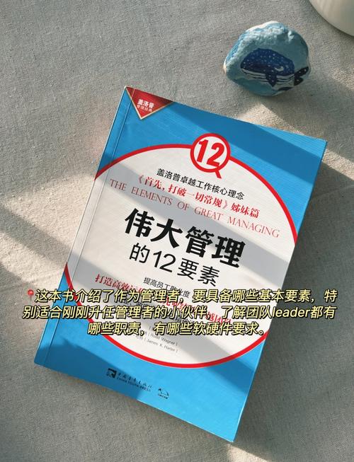 职场晋升秘籍：大企业员工必读的书单推荐？