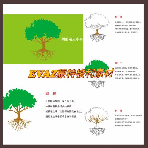 什么是构成树的基本概念的定义及其核心要素？