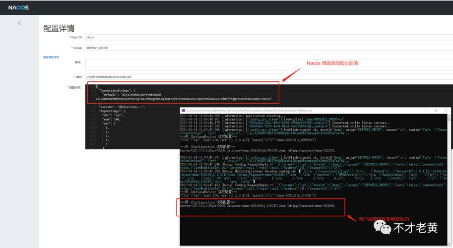 如何使用.NET Core与Nacos实现配置信息的加密和解密操作？