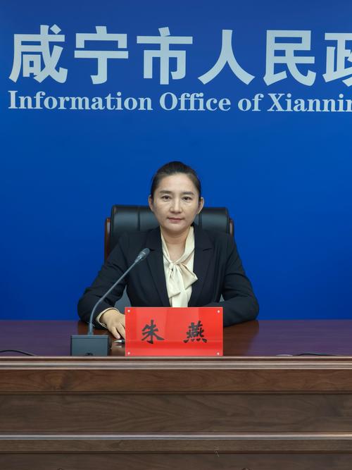 宁河SEO专家·唐山网络优化哪家服务好？
