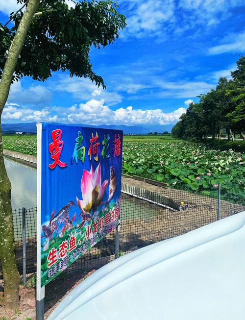 如何拍摄美景，每图赚5元，实现成单25元的机会？
