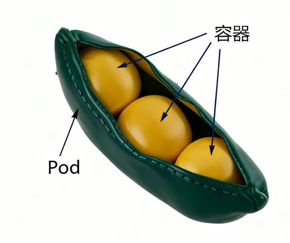 What are the stages of a pod's lifecycle in Kubernetes?