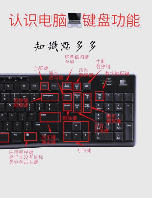 键盘上的大小写提示是什么？