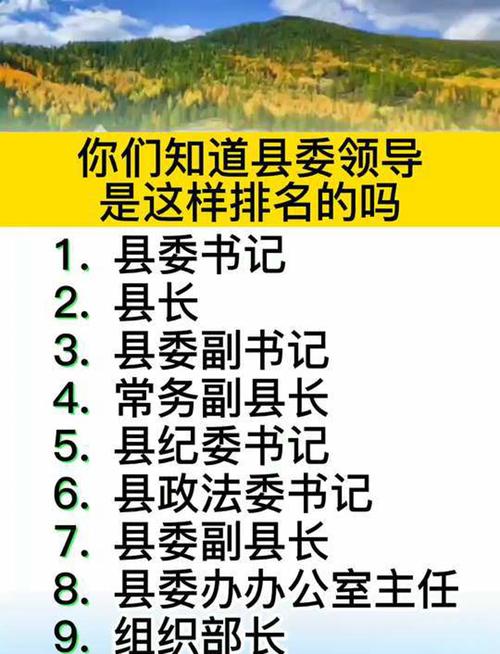 微山SEO，县域排名先锋是哪家？