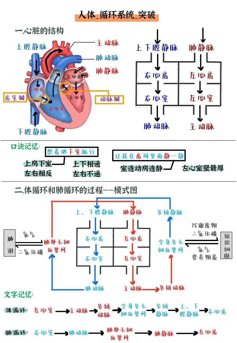 十一，如何区分判断与循环结构？