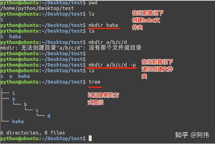 如何使用os模块中的Mkdir函数成功创建一个新目录？