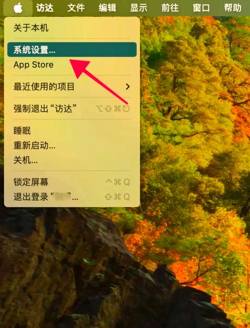 如何将苹果电脑设置为同时运行Windows和macOS系统？