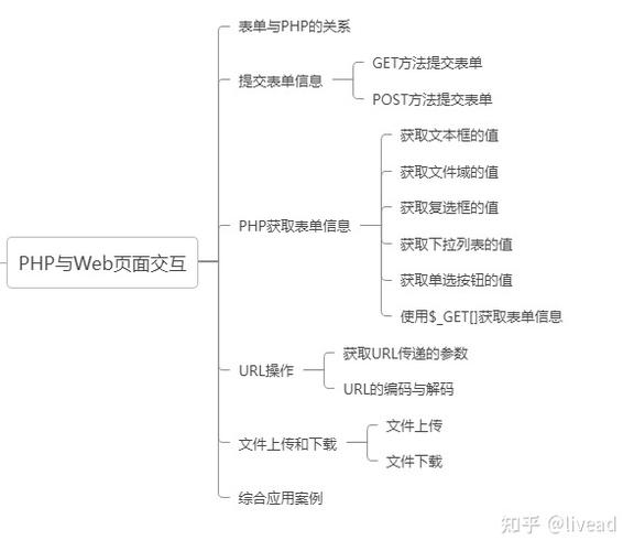 如何通过实例深入理解PHP表单验证的原理与应用？