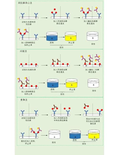 MCDF实验1中具体步骤是怎样的？