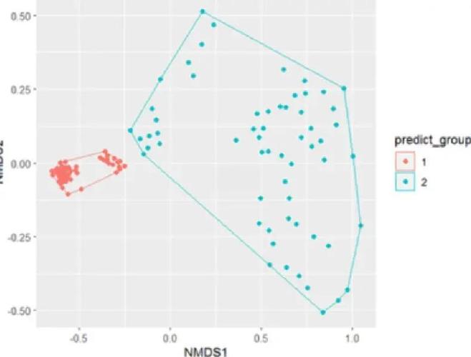 如何使用Echarts的dataset数据集构建单轴散点图？