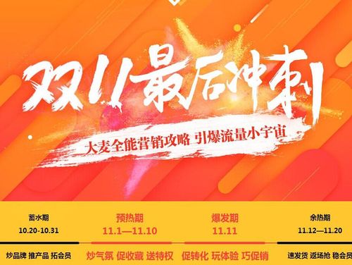 如何掌握双11天猫代运营的核心法则，实现高效运营？