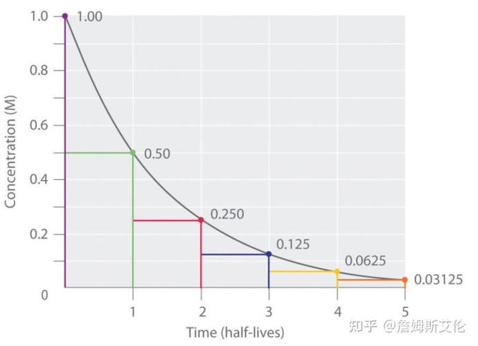 What is the half-life of Markdown?