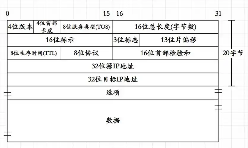 JavaTCP/IP协议中，如何理解分组报文与协议的关系？