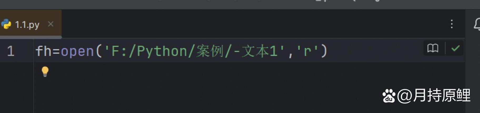 如何纠正Python代码中不规范读取文件的错误方法？