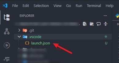 如何详细配置VSCode的launch.json文件教程？