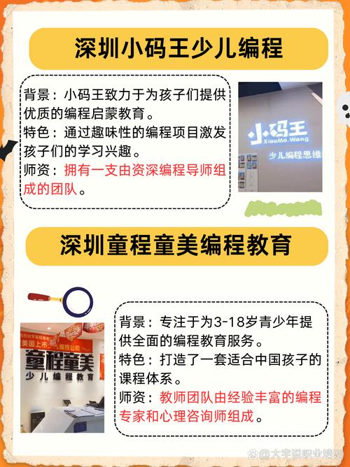 深圳有哪些机构推荐学习编程？