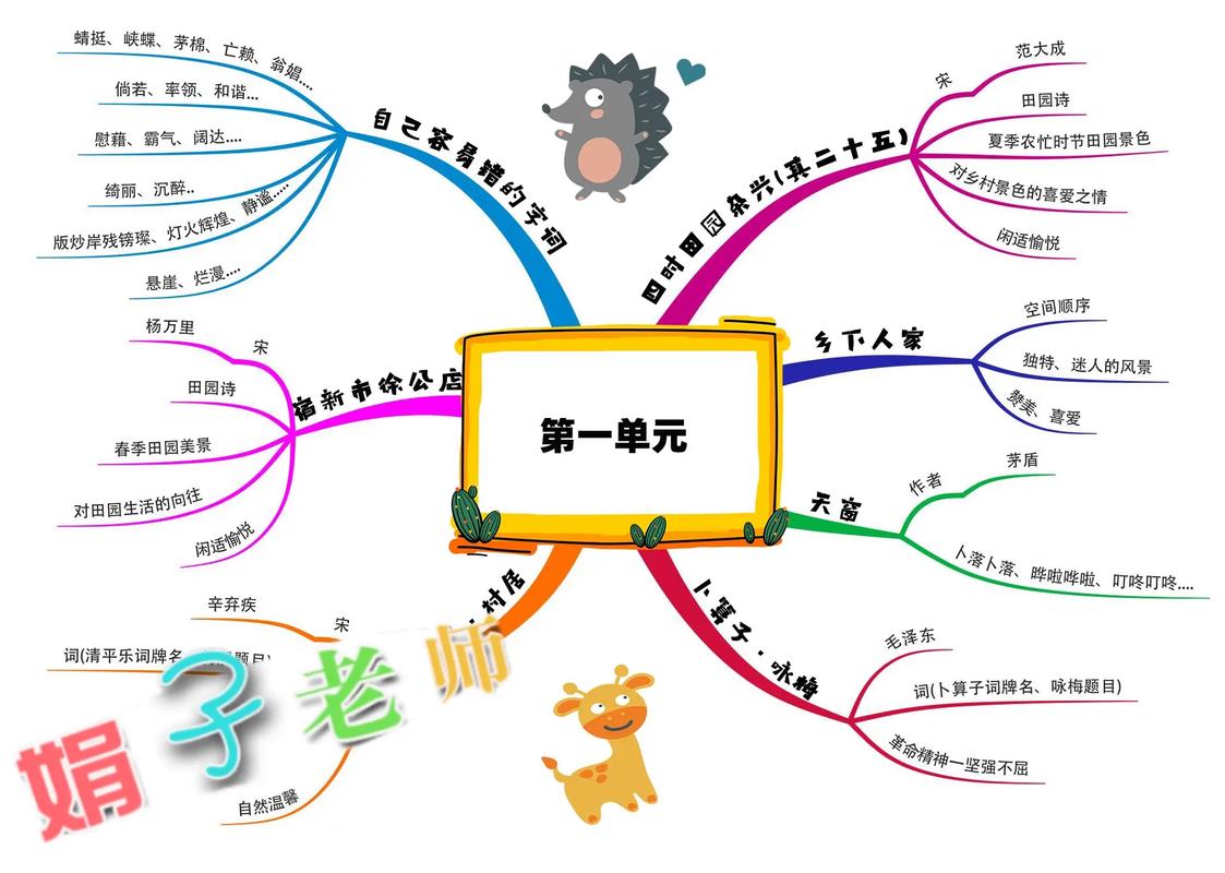第一周思维导图总结有哪些亮点？