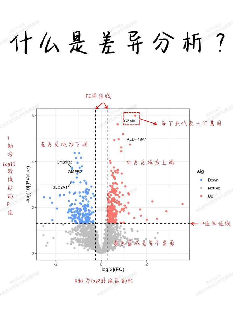 如何比较CakePHP和Phalcon在PHP框架创新功能上的差异？