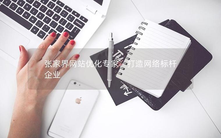 张家界SEO专家，企业拓展首选，哪家服务更专业呢？
