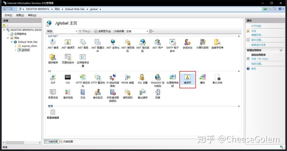 ASP.NET MVC项目中，IIS如何处理缺少的.dat文件？