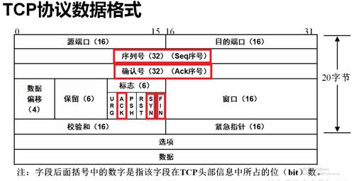 JavaTCP/IP协议中，如何理解分组报文与协议的关系？