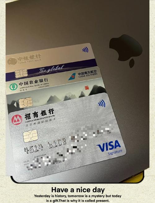 国内Visa卡能否在全球各地轻松支付，一卡在手，畅行无阻呢？