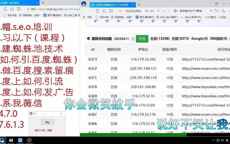 如何利用蜘蛛池助力，实现轻松登顶搜索引擎排名？