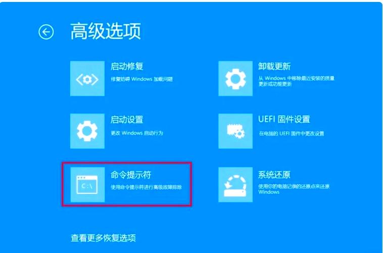为什么使用Ruby的ri时bash命令提示符未显示？