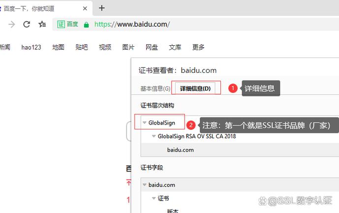 如何设置 .NET HttpClient 忽略 SSL 验证？
